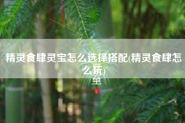精灵食肆灵宝怎么选择搭配(精灵食肆怎么玩)