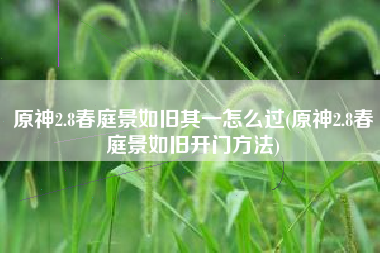 原神2.8春庭景如旧其一怎么过(原神2.8春庭景如旧开门方法)