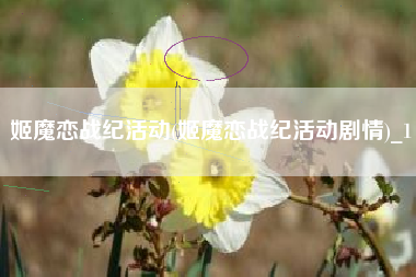 姬魔恋战纪活动(姬魔恋战纪活动剧情)_1