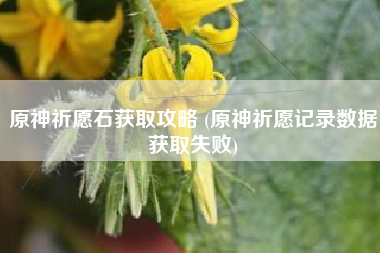 原神祈愿石获取攻略 (原神祈愿记录数据获取失败)