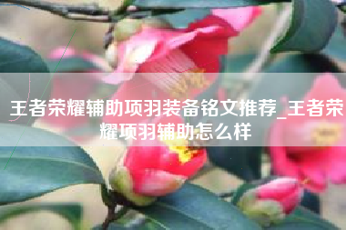 王者荣耀辅助项羽装备铭文推荐_王者荣耀项羽辅助怎么样