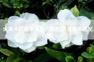 火柴人联盟装备怎么搭配(装备完美搭配攻略)