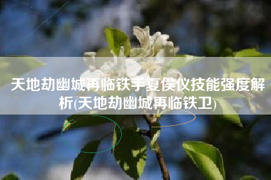 天地劫幽城再临铁手夏侯仪技能强度解析(天地劫幽城再临铁卫)