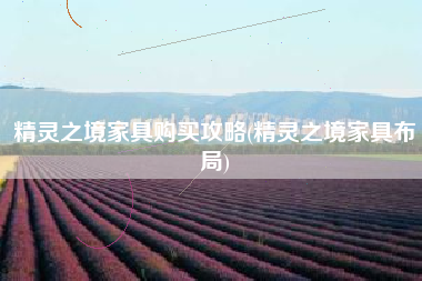 精灵之境家具购买攻略(精灵之境家具布局)