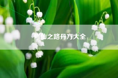 修仙之路丹方大全
