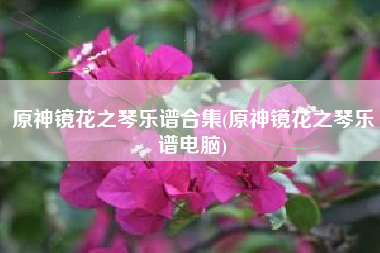 原神镜花之琴乐谱合集(原神镜花之琴乐谱电脑)