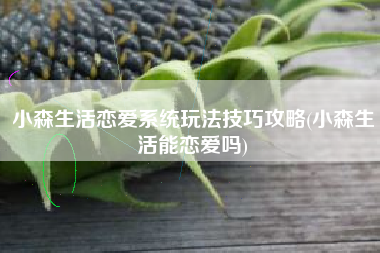 小森生活恋爱系统玩法技巧攻略(小森生活能恋爱吗)