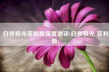 白夜极光菲利斯强度测评(白夜极光 菲利斯)