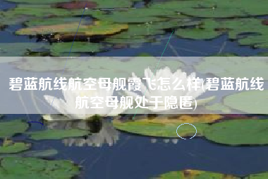 碧蓝航线航空母舰霞飞怎么样(碧蓝航线航空母舰处于隐匿)