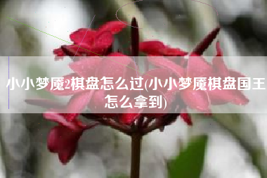 小小梦魇2棋盘怎么过(小小梦魇棋盘国王怎么拿到)