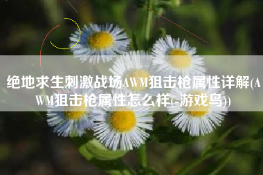 绝地求生刺激战场AWM狙击枪属性详解(AWM狙击枪属性怎么样(-游戏鸟))