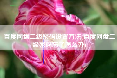 百度网盘二级密码设置方法(百度网盘二级密码忘了怎么办)