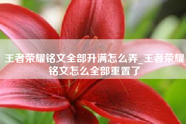 王者荣耀铭文全部升满怎么弄_王者荣耀铭文怎么全部重置了