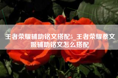 王者荣耀辅助铭文搭配5_王者荣耀蔡文姬辅助铭文怎么搭配
