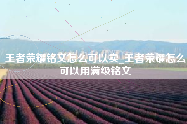 王者荣耀铭文怎么可以卖_王者荣耀怎么可以用满级铭文