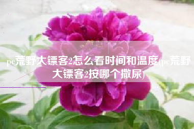 pc荒野大镖客2怎么看时间和温度(pc荒野大镖客2按哪个撒尿)