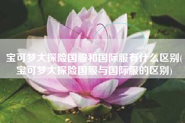 宝可梦大探险国服和国际服有什么区别(宝可梦大探险国服与国际服的区别)