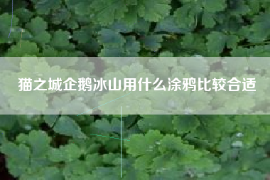 猫之城企鹅冰山用什么涂鸦比较合适
