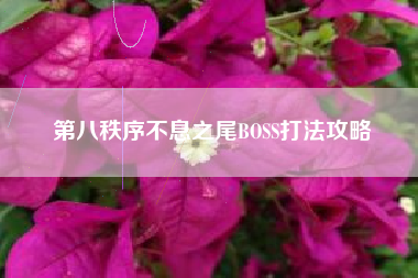第八秩序不息之尾BOSS打法攻略