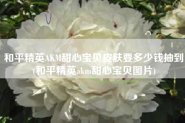 和平精英AKM甜心宝贝皮肤要多少钱抽到(和平精英akm甜心宝贝图片)