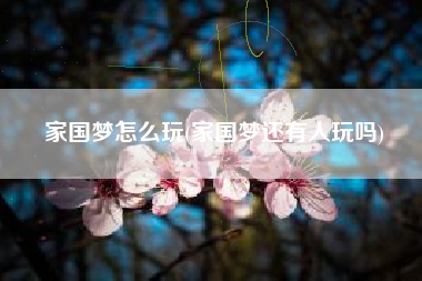 家国梦怎么玩(家国梦还有人玩吗)