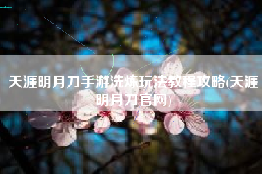 天涯明月刀手游洗炼玩法教程攻略(天涯明月刀官网)