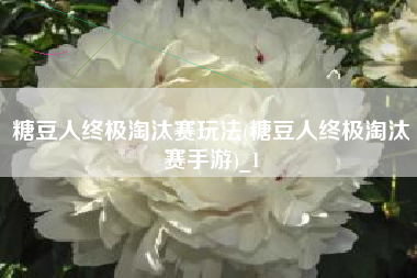 糖豆人终极淘汰赛玩法(糖豆人终极淘汰赛手游)_1