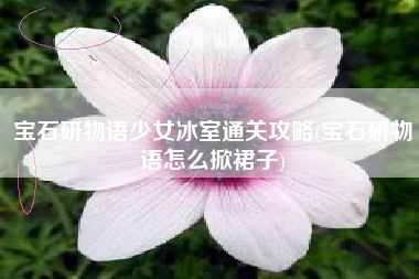 宝石研物语少女冰室通关攻略(宝石研物语怎么掀裙子)