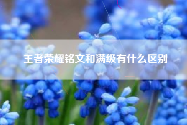 王者荣耀铭文和满级有什么区别
