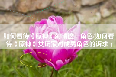 如何看待《原神》刻晴这一角色(如何看待《原神》女玩家对成男角色的诉求-)