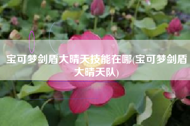 宝可梦剑盾大晴天技能在哪(宝可梦剑盾大晴天队)