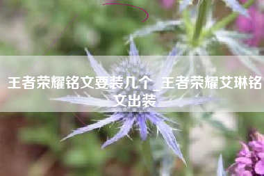 王者荣耀铭文要装几个_王者荣耀艾琳铭文出装