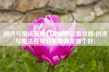 创造与魔法苍穹幻龙刷新位置攻略(创造与魔法苍穹幻龙和骨龙哪个好)