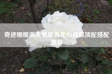 奇迹暖暖满天繁星青龙心月狐顶配搭配推荐