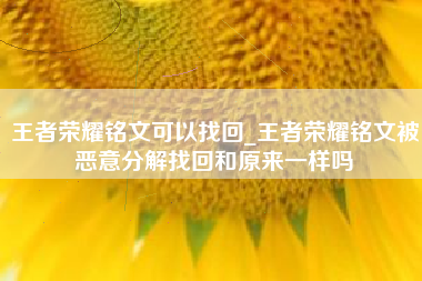 王者荣耀铭文可以找回_王者荣耀铭文被恶意分解找回和原来一样吗