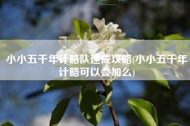 小小五千年计略队速成攻略(小小五千年计略可以叠加么)