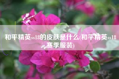 和平精英ss18的皮肤是什么(和平精英ss18赛季服装)