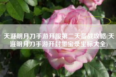 天涯明月刀手游开服第二天备战攻略(天涯明月刀手游开封墨宝录坐标大全)