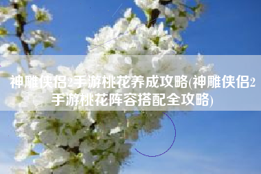 神雕侠侣2手游桃花养成攻略(神雕侠侣2手游桃花阵容搭配全攻略)