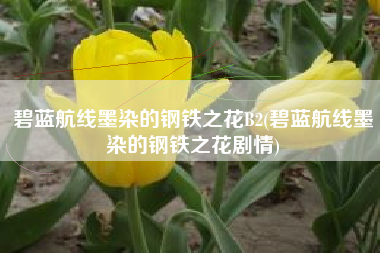 碧蓝航线墨染的钢铁之花B2(碧蓝航线墨染的钢铁之花剧情)