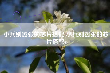 小兵别嚣张的芯片搭配(小兵别嚣张的芯片搭配)