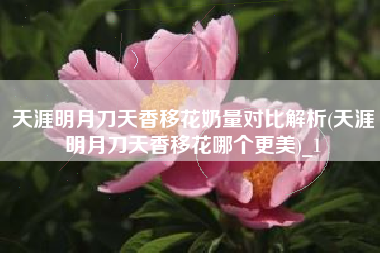 天涯明月刀天香移花奶量对比解析(天涯明月刀天香移花哪个更美)_1