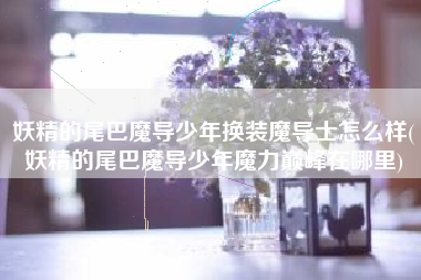 妖精的尾巴魔导少年换装魔导士怎么样(妖精的尾巴魔导少年魔力巅峰在哪里)