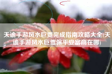 天谕手游风水巨贾完成指南攻略大全(天谕手游风水巨贾保平安富商在哪)