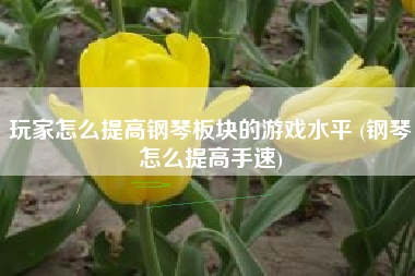 玩家怎么提高钢琴板块的游戏水平 (钢琴怎么提高手速)