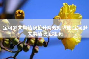 宝可梦大集结段位升降规则攻略(宝可梦大集结段位继承)