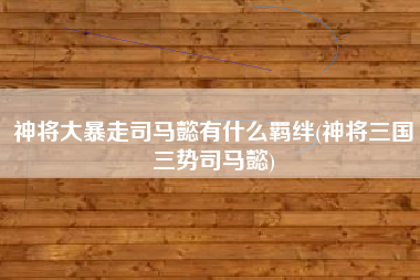 神将大暴走司马懿有什么羁绊(神将三国三势司马懿)
