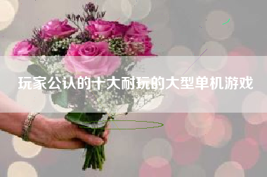 玩家公认的十大耐玩的大型单机游戏