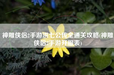 神雕侠侣2手游洪七公传全通关攻略(神雕侠侣2手游开服表)
