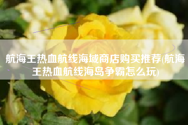 航海王热血航线海域商店购买推荐(航海王热血航线海岛争霸怎么玩)
